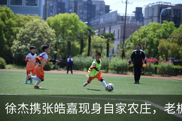 徐杰携张皓嘉现身自家农庄，老板娘乐开怀，这波亲情牌打得真值！