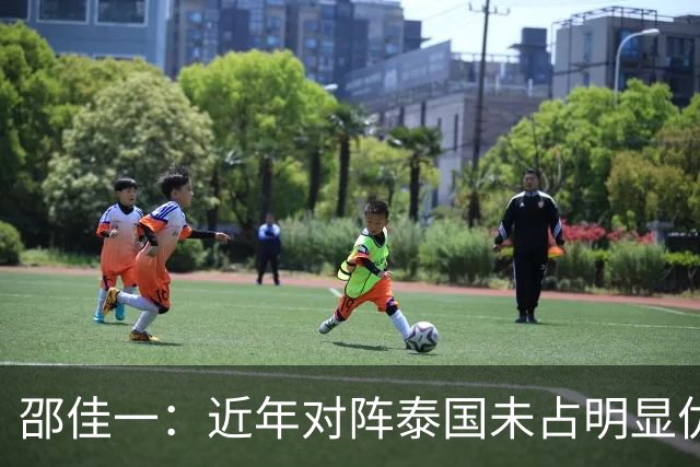 邵佳一：近年对阵泰国未占明显优势 国家队无友谊赛